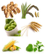 Beta Sitosterol - Image 3