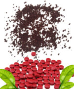 Chelated Iron - Image 3