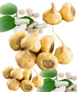 Glucosamine Chondroitin and MSM Tablets 1500 mg - Image 2