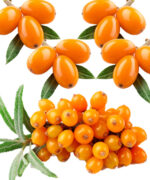 Sea Buckthorn Supplement - Image 2