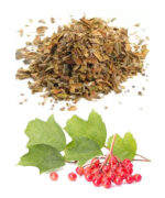 Cramp Bark Capsules 1000mg - Image 2