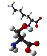 L Citrulline Capsules 500mg - Image 2