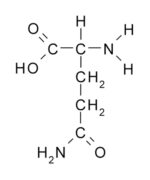 L Glutamine Capsules 500mg - Image 2